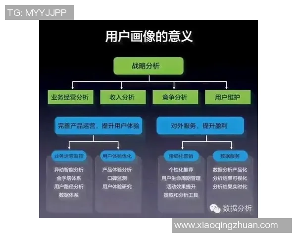飓风来袭如何构建有效防御与维护正义的全面策略探讨